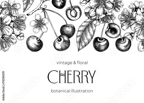 Berry fruit background. Cherry berries, leaves, flowers sketches. Cherry blossom hand-drawn vector illustration. Floral frame design. NOT AI genereted