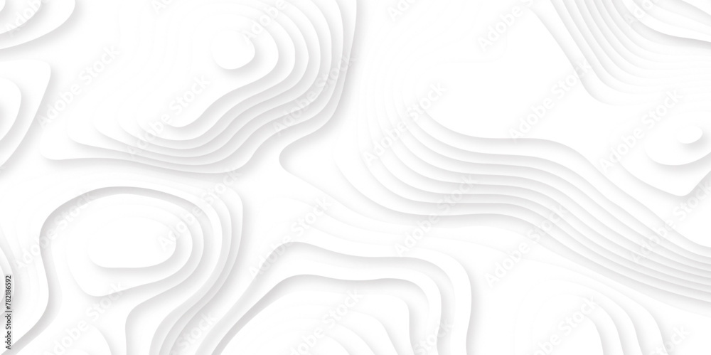 White papercut multi layers, 3D topographic pattern texture. Abstract paper cut relief imitation, topographic map image. Vector White papercut multi layers, 3D topographic pattern texture. Abstract paper cut relief imitation, topographic map image. Vector