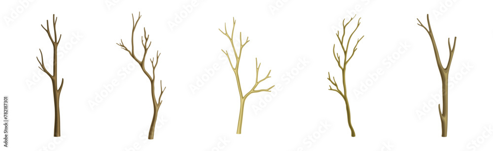 Bare Tree Branch with Stem and Limb Vector Set - obrazy, fototapety, plakaty 