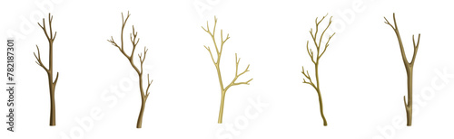 Bare Tree Branch with Stem and Limb Vector Set photo