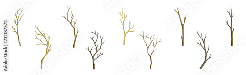 Bare Tree Branch with Stem and Limb Vector Set
