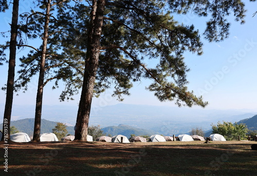  Group tents camping on mountain peak in the tropical forest. tent for tourists. Beautiful view on top of the mountain with pine trees and tents. Many tent on a grass under the view big pine tree.
