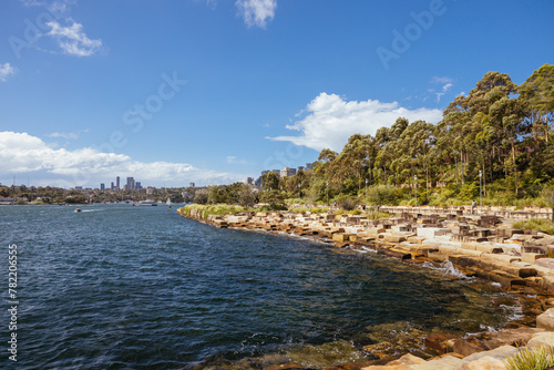 Sydney Harbour and Barangaroo Reserve in Australia
