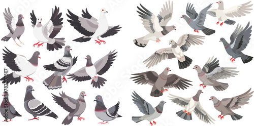 City dove bird, flying pigeons and town birds doves