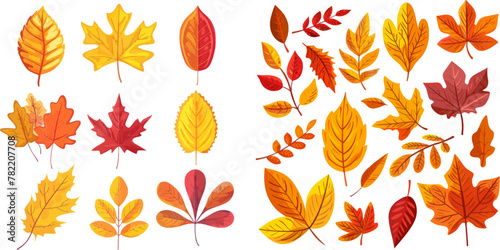  Autumnal yellow leaf, forest nature orange leafage and september red leaves photo