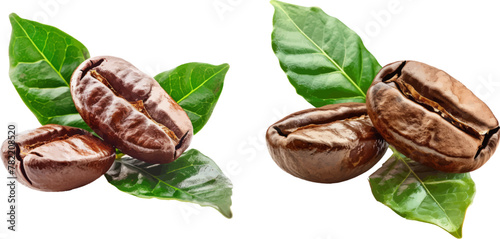 Vector illustration of coffee beans