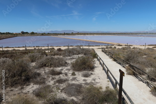 Salinas El Pinet, La Marina, Alicante, Spain, April 10, 2024: Lagoons of different colors in the salt flats of Pinet, La Marina, Alicante, Spain photo