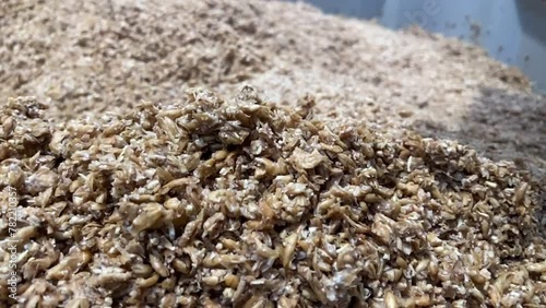 Mashing of milled malt grains for preparing malt. Process of brewing grain of barley.