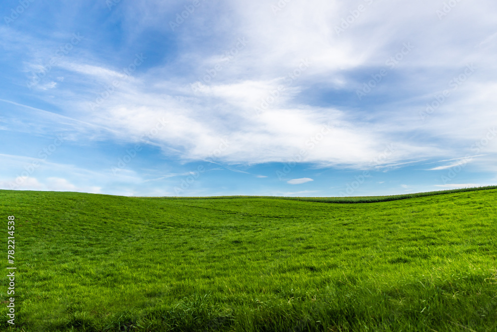 Eine grüne Wiese mit blauem Himmel der an Windows 95 erinnert