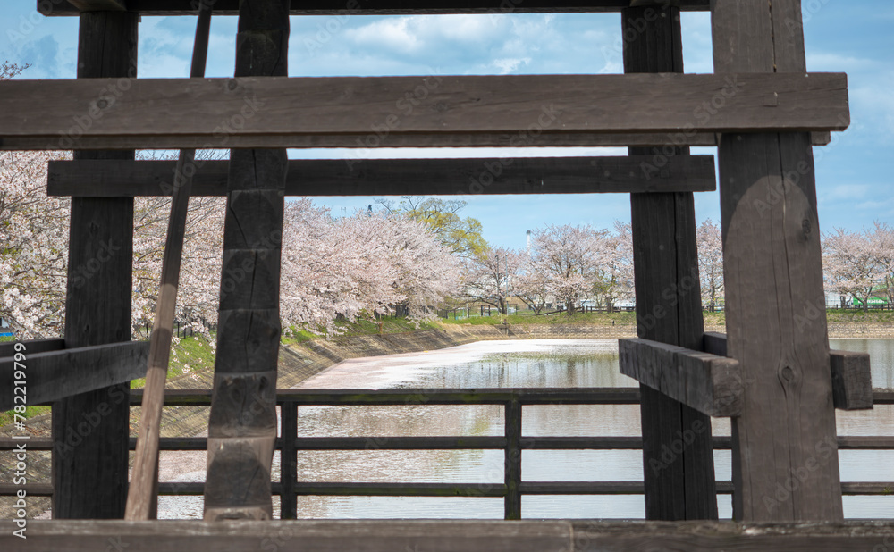 楼閣の向こうに桜並木