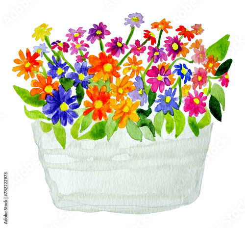 Vaso con vivaci fiori multicolore ad acquerello, illustrazione isolata su sfondo bianco