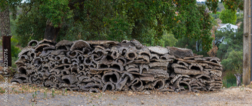 Pile of cork bark harvested © Mauro Rodrigues