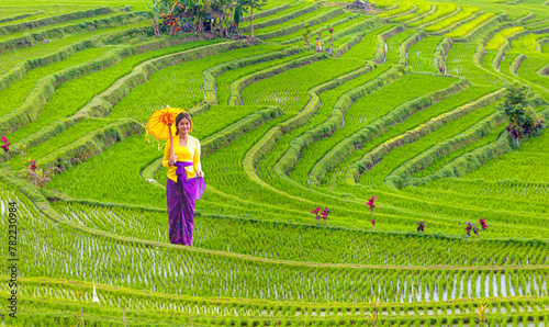 Portrait of balinese girl in traditional costume with yellow umbrella walking on rice terrace path - Terrace River Pool Swing in Ubud, Bali 