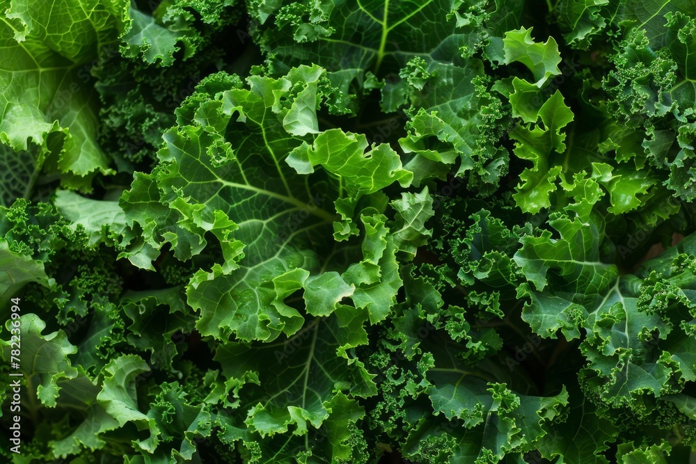 closeup of fresh green kale leaves ai generated food photography