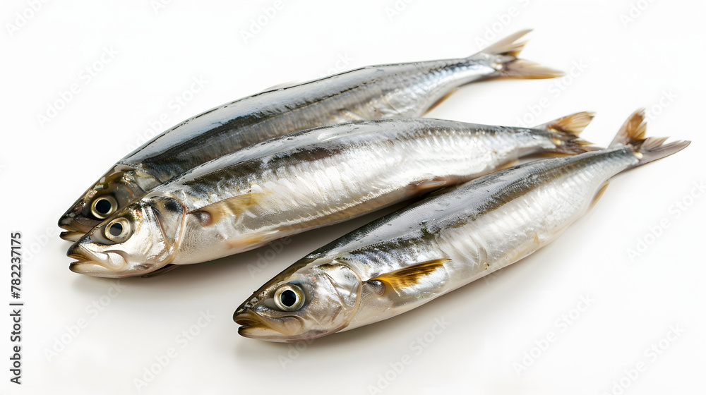 Fresh Whole Anchovy. Raw Seafood Fish Diet Concept Isolated on White Background Fresh Whole Anchovy. Raw Seafood Fish Diet Concept Isolated on White Background