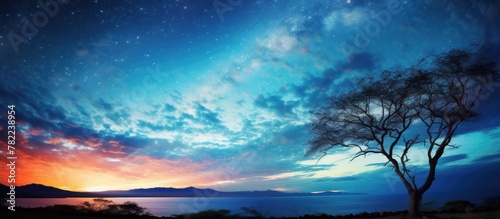 Tranquil tree silhouetted against stunning sunset and starry sky