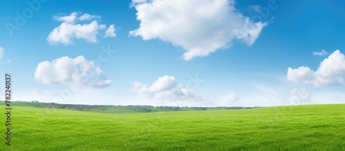 Beautiful landscape with green field  blue sky  and fluffy clouds