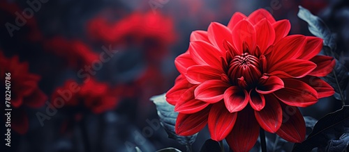 Beautiful red flower stands out in rural field