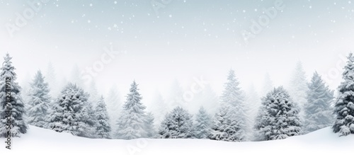 Snowy forest with falling snow © HN Works