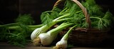 Bunches of fennel in a basket