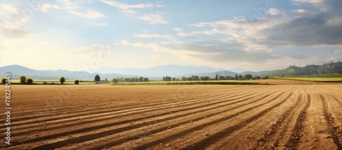 Plowed field with distant mountains