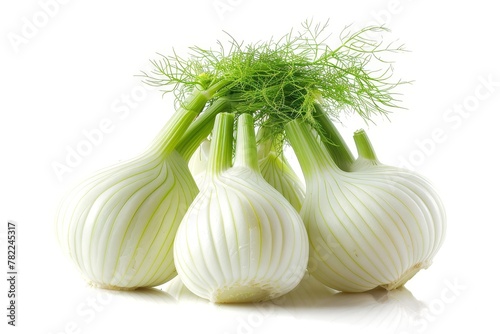White background with fresh fennel