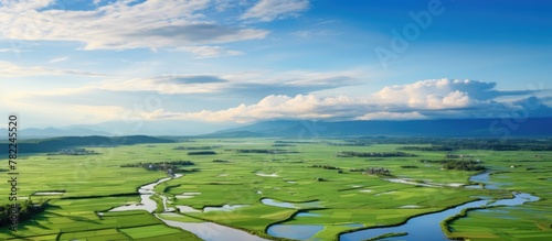 Aerial View of Green Rice Field with River, Evening Sky in Pasir Hor Kelantan photo