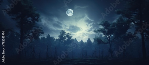 Dark forest moon night sky photo