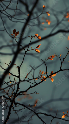 Sunlit leaves on bare branches against a dusk sky