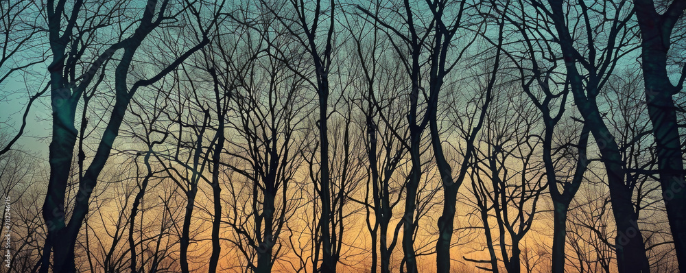 Bare trees silhouetted against a twilight sky Bare trees silhouetted against a twilight sky
