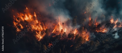 Truck tire on dirt road beside wildfire