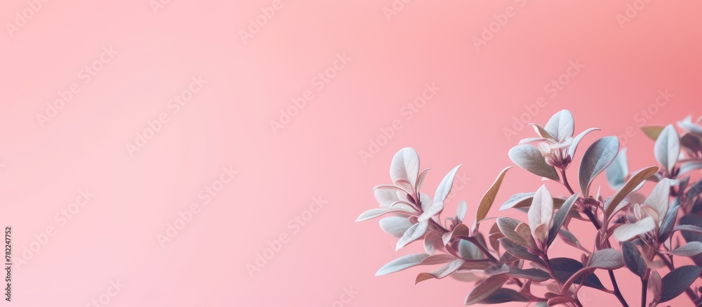 Fototapeta premium Pink foliage against green backdrop
