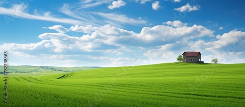 Solitary house amid lush green field under clear blue sky photo