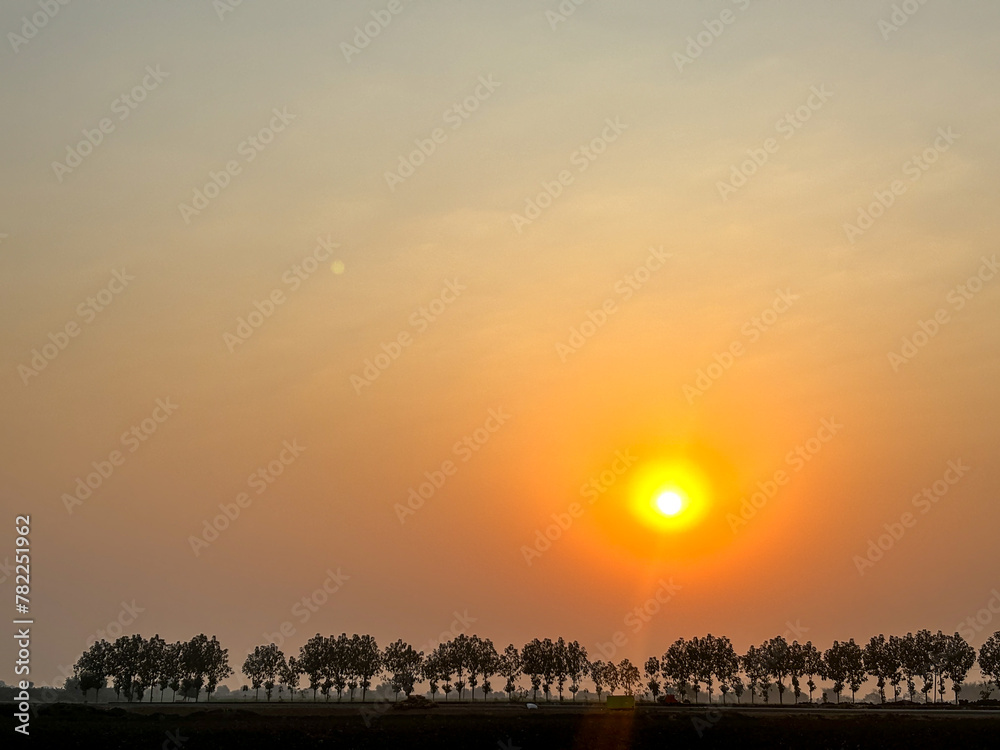 A sunset over a field of trees with a large sun in the sky
