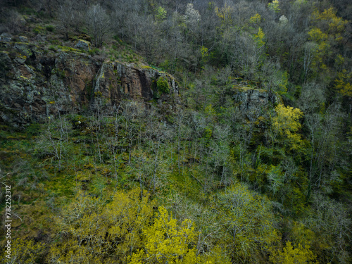 forest  spring  nature  landscape  beauty  travel  aveyron  river  groth  photosynthesis  green