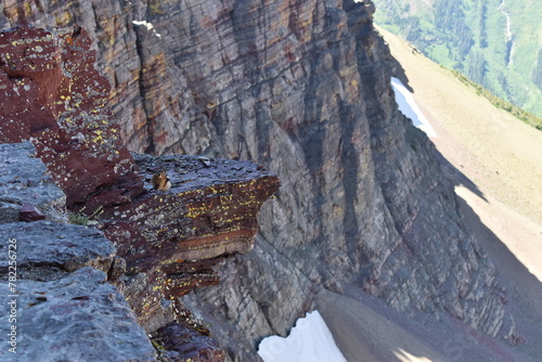 Wildlife, Forests, Mountains, and Landscapes in the northern USA