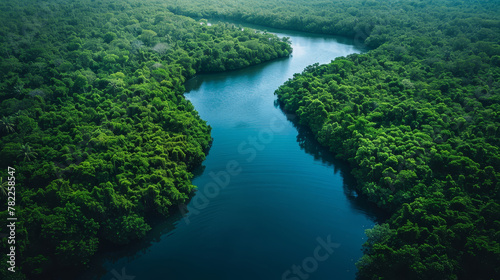 River and green forest on either side, rich forest aerial view