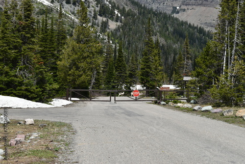 Wildlife, Forests, Mountains, and Landscapes in the northern USA