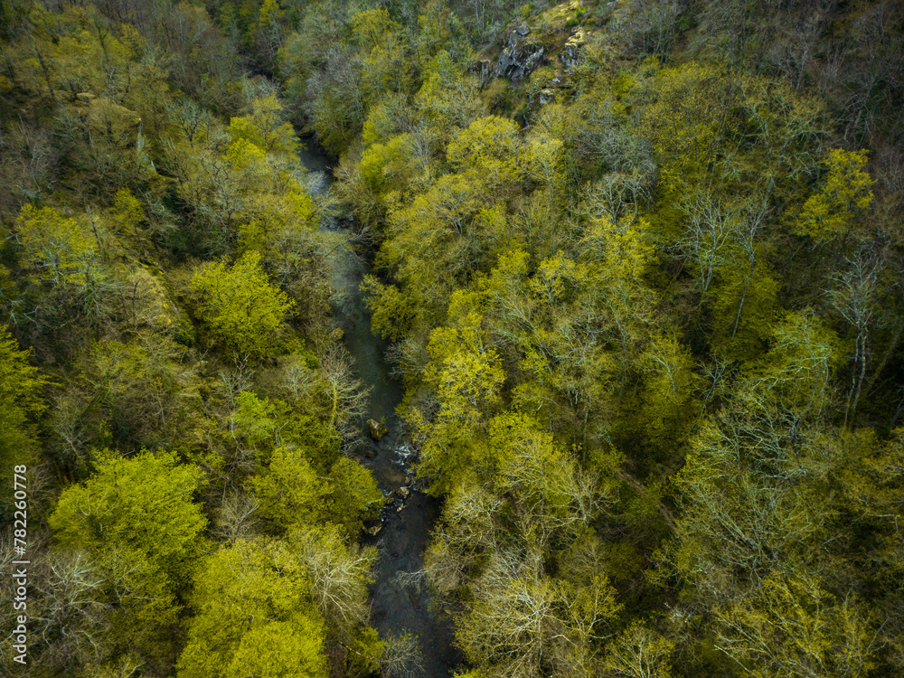 beautiful natural river stream in forest at spring beautiful natural river stream in forest at spring