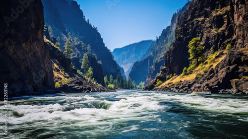 mountain river in the forest.