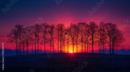 Vibrant sunset behind a silhouette of trees