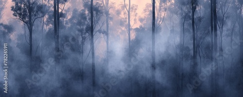 Misty eucalyptus forest at twilight