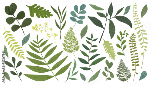 illustration of leaf collection