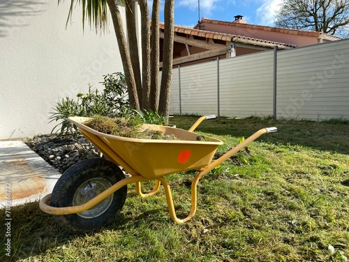 brouette d'herbe, travaux de jardinage au printemps photo