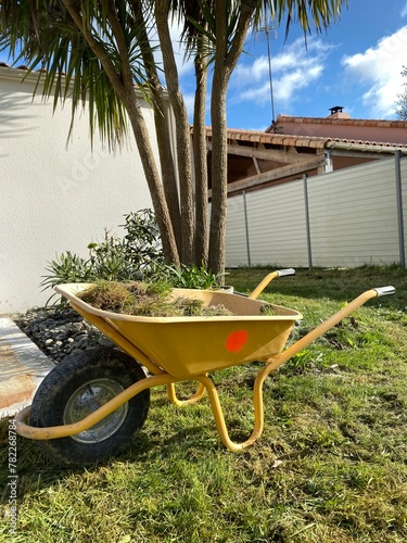 brouette d'herbe, travaux de jardinage au printemps photo