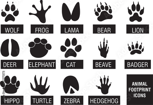 Animals footprint icons with names. Animal paw prints like Cat, lion, tiger, bear, dog, cow, pig, chicken, elephant. © munir