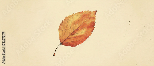 A simple, elegant leaf outlined in black against a white background in minimalist style.