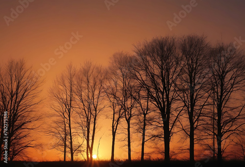 Sunrise on a plain  golden hour  vegetation