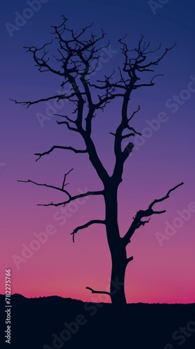 Silhouette of a barren tree against a twilight sky © cac_tus
