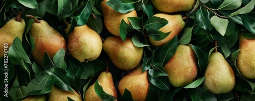 Fresh pears with leaves on dark background